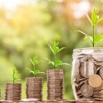 Value investing